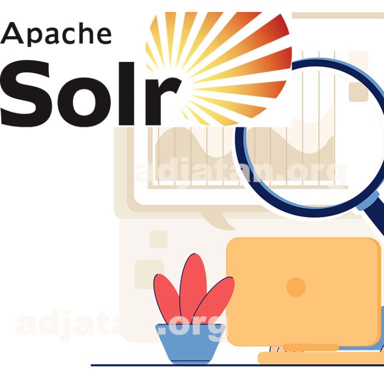Solr: Apache's powerful search server and its alternatives
