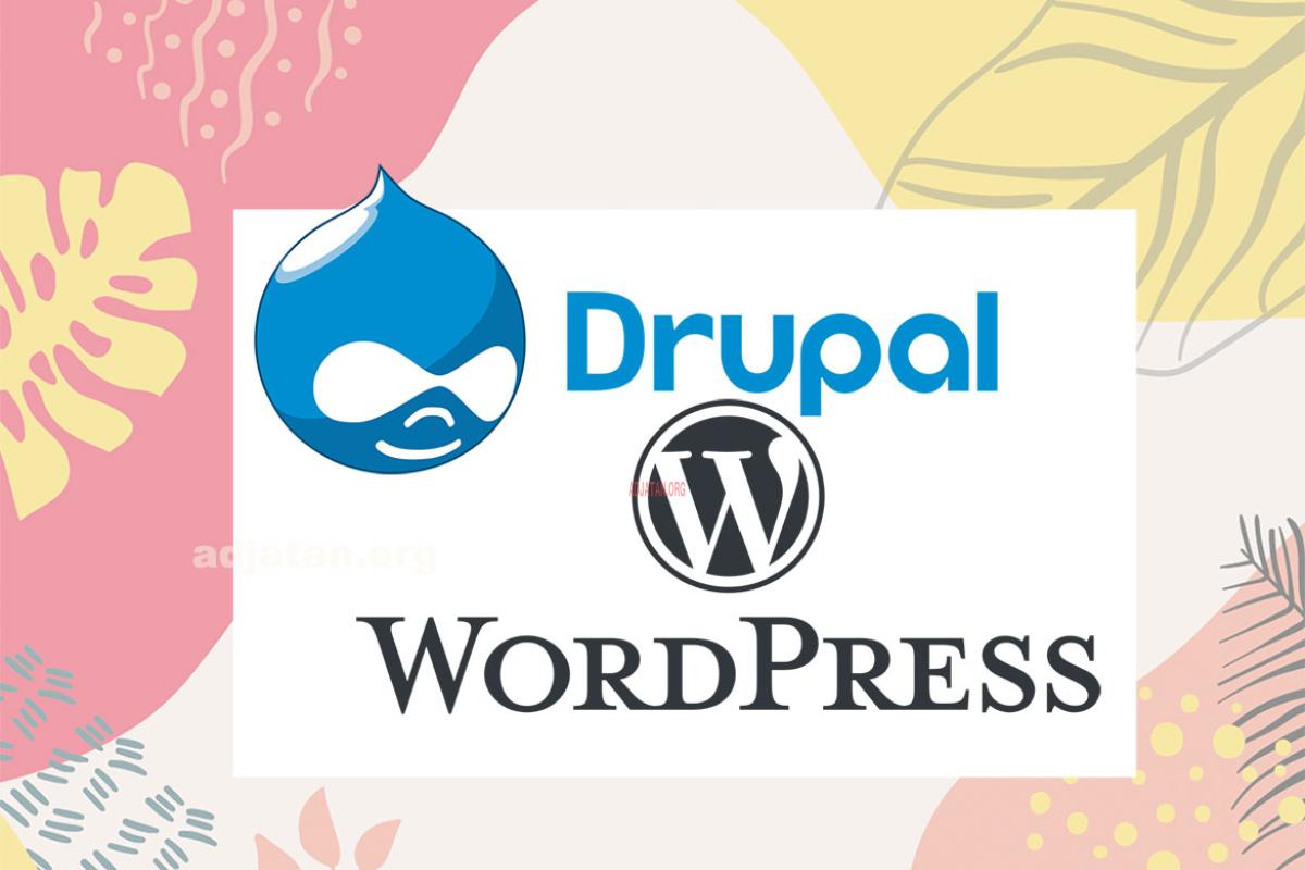  Which CMS Platform Is Better For You: Drupal or WordPress? 
