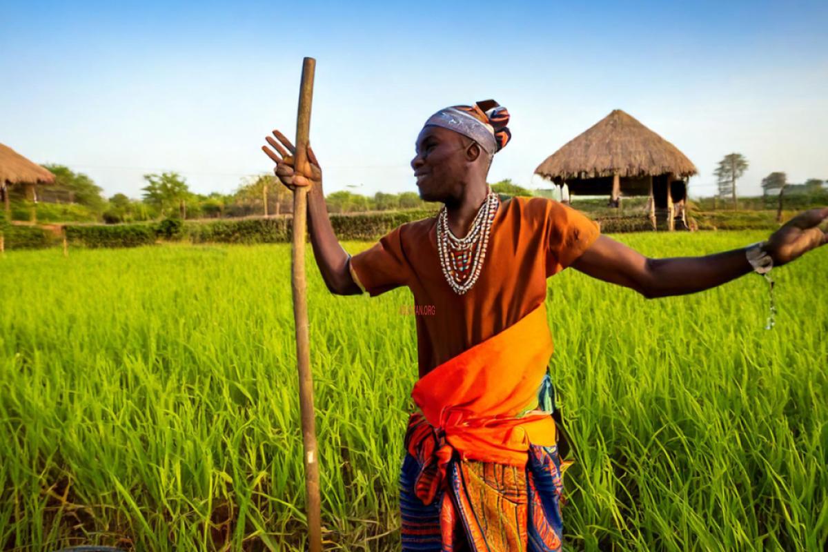  The Farmer and the Forgotten Shower 